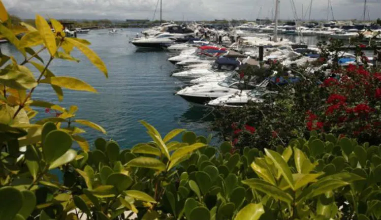 2.9620 é o número total de vagas nas 17 marinas da Bahia.