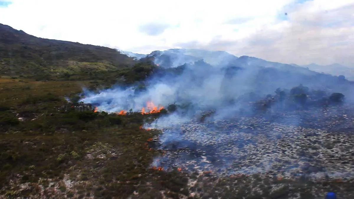 Incêndio foi identificado no domingo, 30