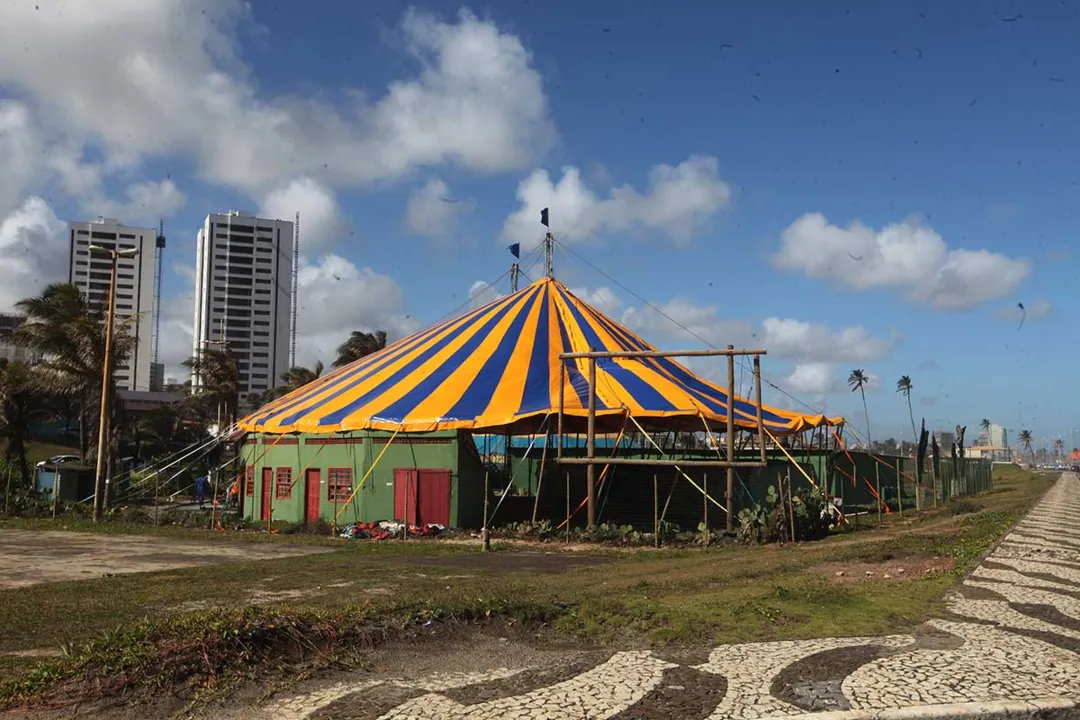 Circo Picolino está em atividade desde 1985