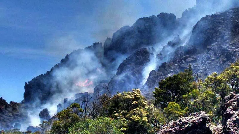 Fogo no Pico das Almas, em Rio de Contas