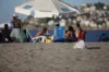 Praias de Salvador sofrem com poluição