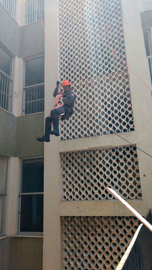 Gato é resgatado pelo Corpo de Bombeiros após ficar preso em apartamento