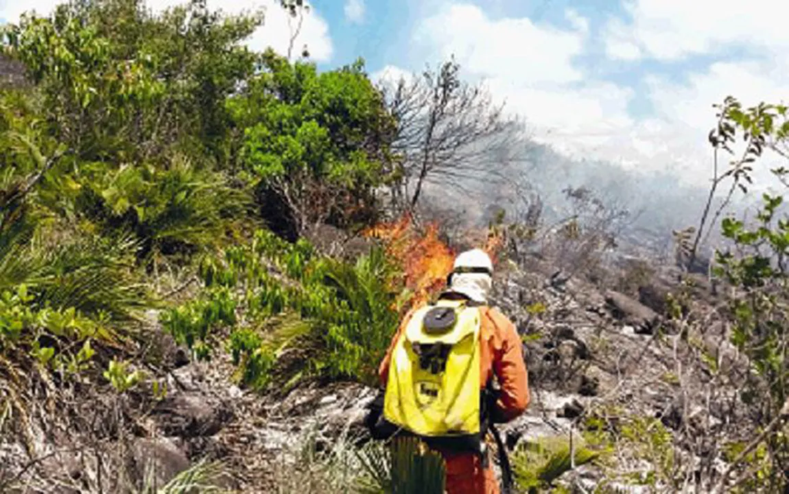 Brigadista combate incêndio que já dura mais de 10 dias no município de Saúde