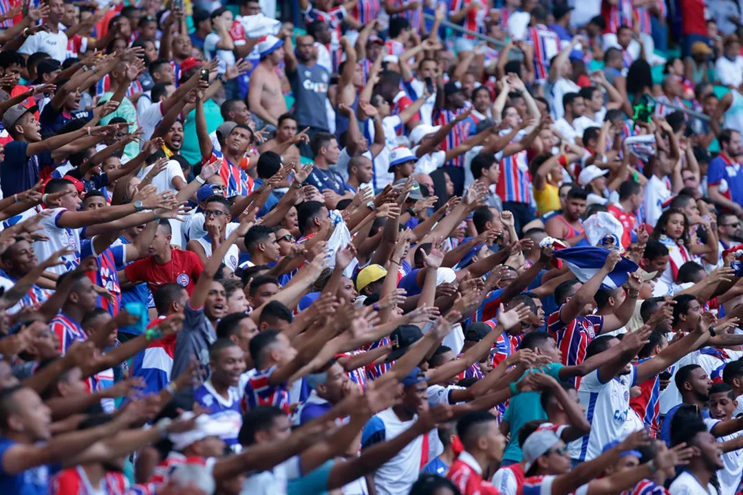 bavi, ec bahia, torcida