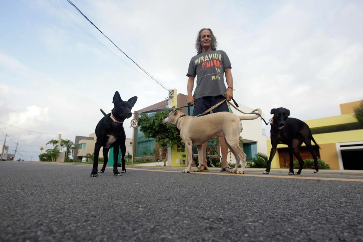 Morador de um condomínio de casas, Lon Bové tem três cachorros que recolheu na rua