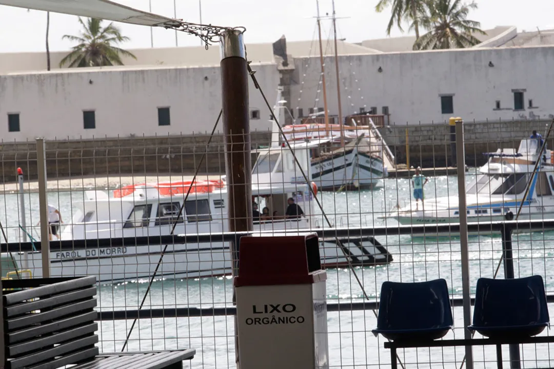 Catamarã bate em baleia e sofre danos na estrutura durante travessia