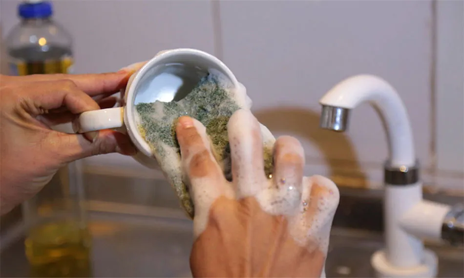 Diarista foi dispensada sem receber pagamento