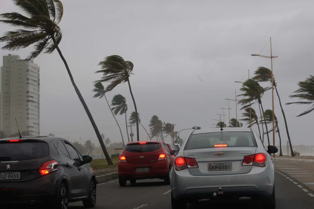 Velocidade média do vento atingiu a marca de 5,4 km/h