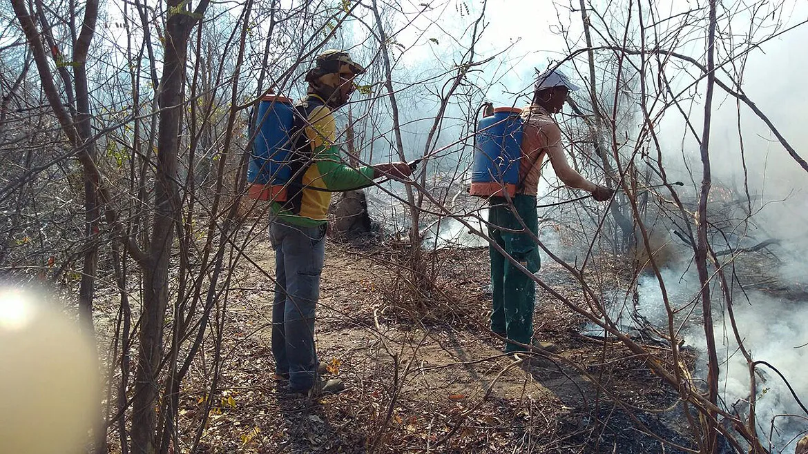 Bombeiros, brigadistas e voluntários estão envolvidos no controle das chamas na zona rural de Morpará