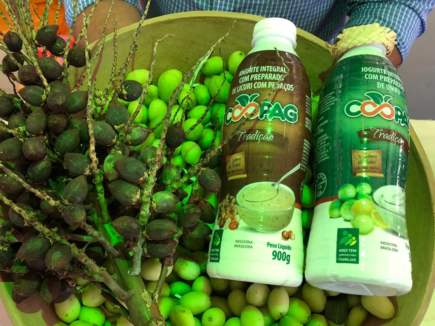 Os iogurtes Licuri e Umbu estão disponíveis na VIII Feira Baiana de Agricultura Familiar, na Fenagro