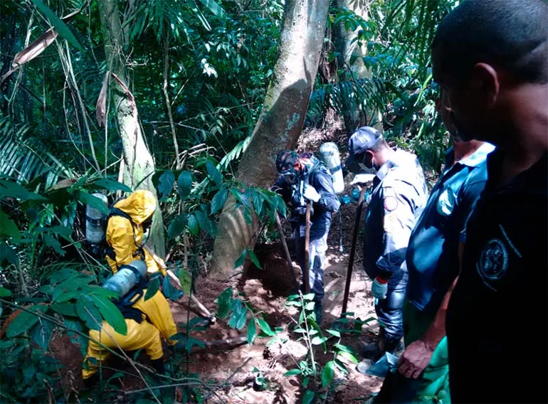 Investigadores, bombeiros e peritos atuaram na localização das covas na mata