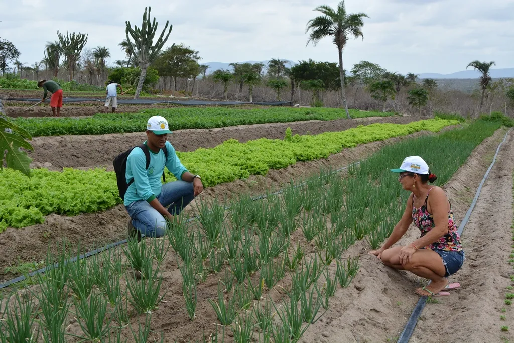 Em Serra Grande, o plantio de hortaliças, legumes, frutas e plantas medicinais mudou a realidade da comunidade