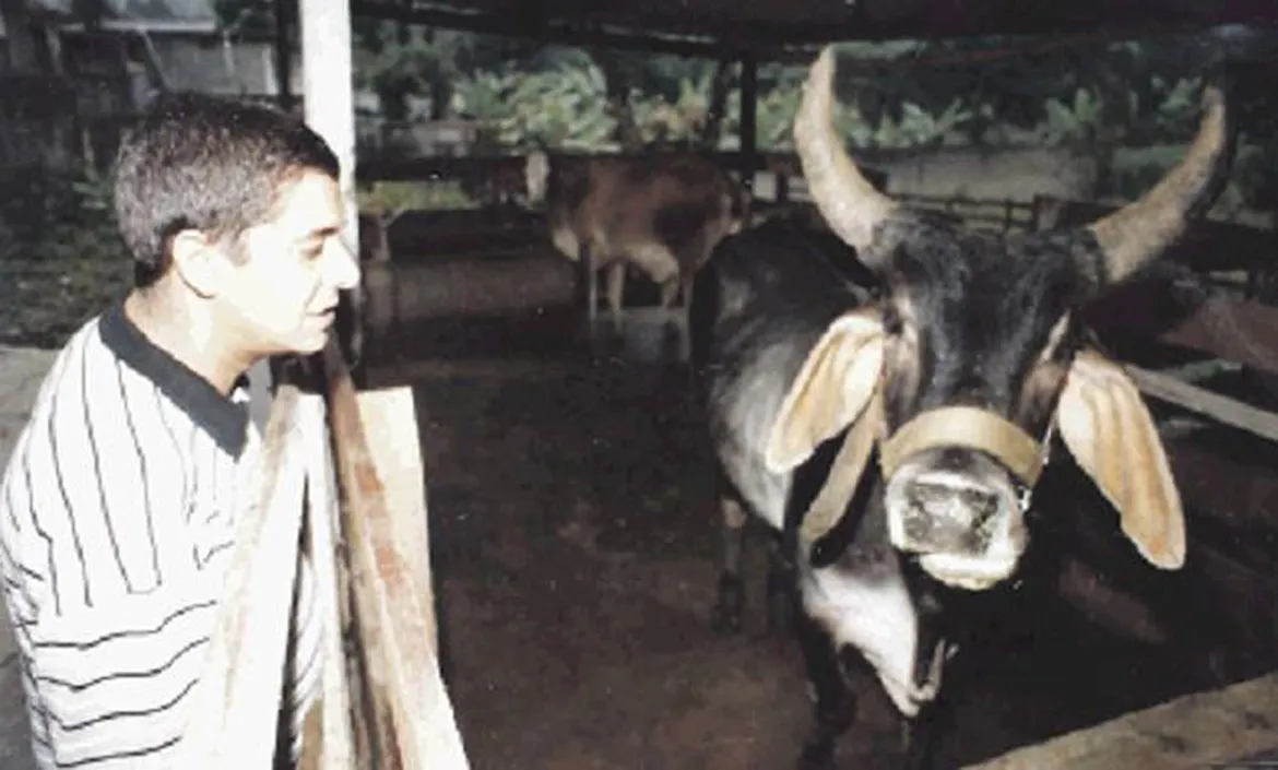 O jovem Zeca em Xerém, com o seu boi de estimação