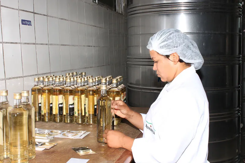 Dez rótulos de cachaça baiana se destacam como produto turístico na 52ª edição da Expoconquista