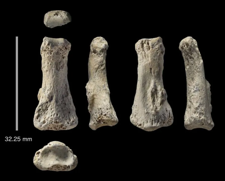 Osso de dedo humano com 90 mil anos foi encontrado em deserto na Arábia Saudita