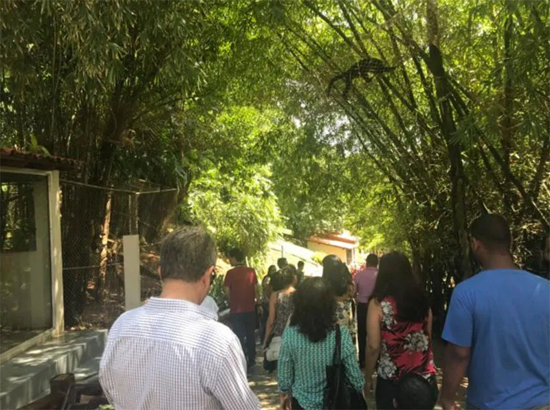 Zoo de Salvador tem atualmente mais de 1.600 animais