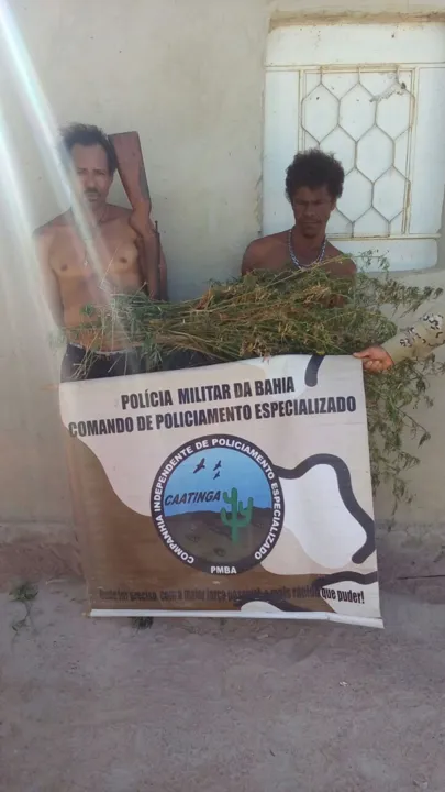 Homens possuíam plantação de maconha em fazenda