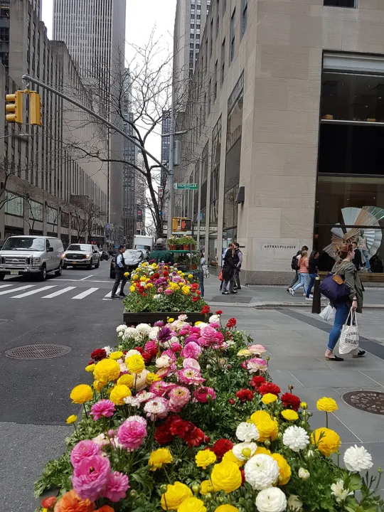 As ruas das cidades ganham floreiras e uma decoração mais descontraída