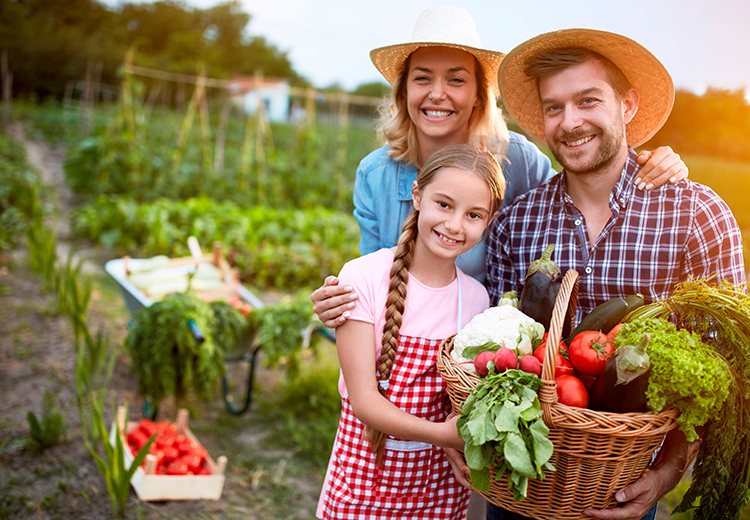 Agricultura familiar é responsável por 80% da produção mundial de alimentos