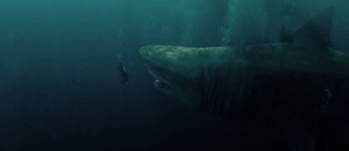 Megalodonte do filme é cinco vezes maior que um tubarão branco