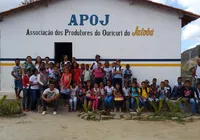 Licuri gera emprego e renda no distrito de Jatobá, em Milagres