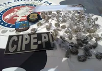 Homem é preso na RMS com mais de 80 trouxas de maconha