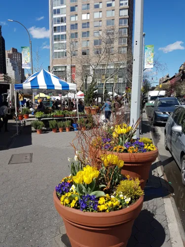 O que fazer em Nova York durante a primavera