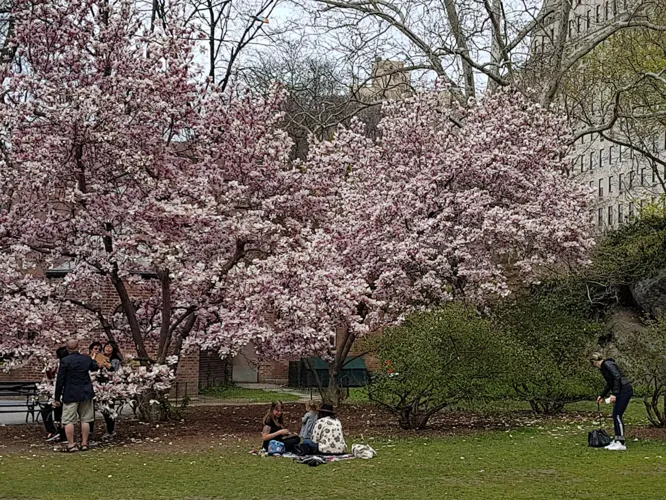 O que fazer em Nova York durante a primavera