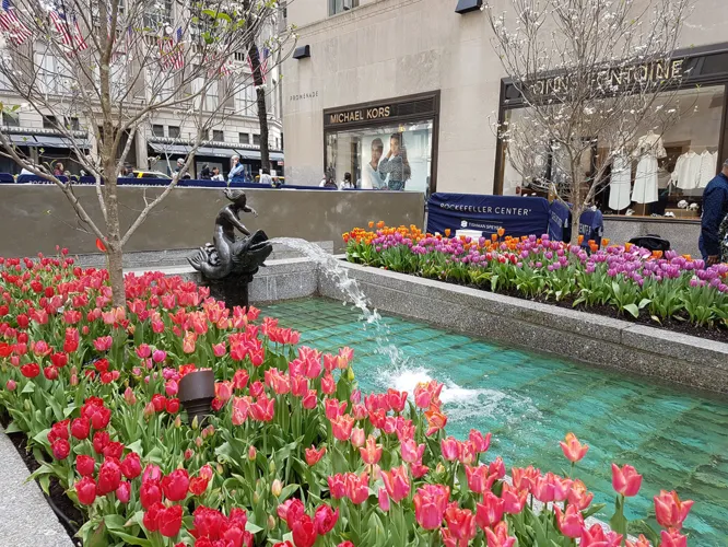 O que fazer em Nova York durante a primavera