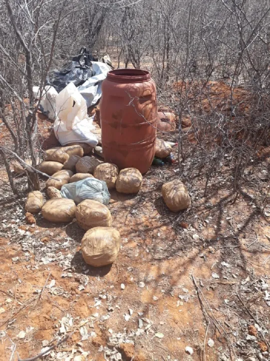 Na residência foi apreendida uma arma de fogo e dois tonéis com resíduos de maconha