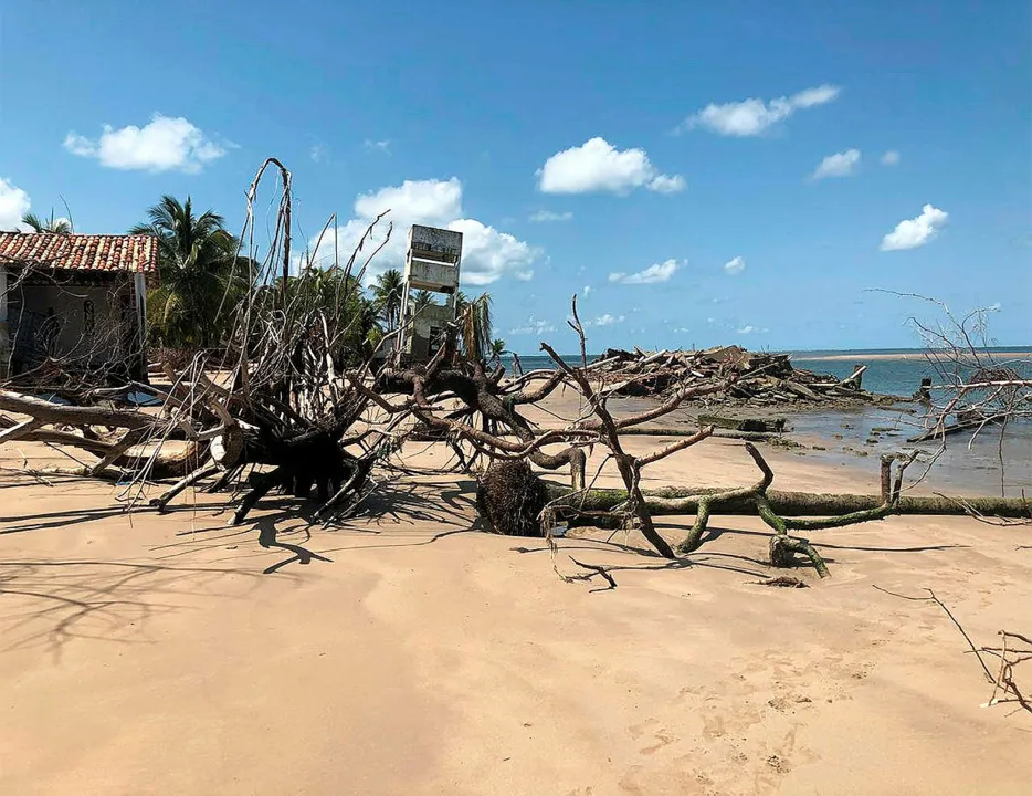 A limpeza vai focar nas construções atingidas pela erosão marítima e retirada de árvores