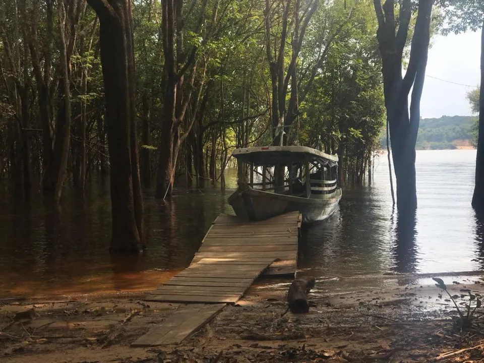 A série "Aruanas" está sendo filmada na Amazônia