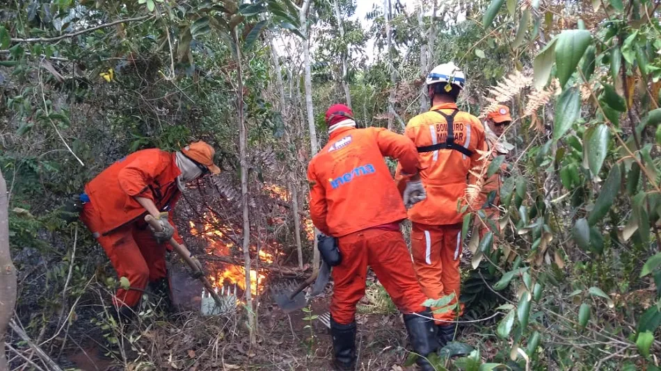 As equipes são compostas por Bombeiros Militares da Bahia estão no local