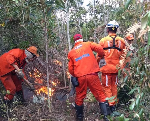 Bombeiros e brigadistas tentam controlar incêndio na Serra da Tromba