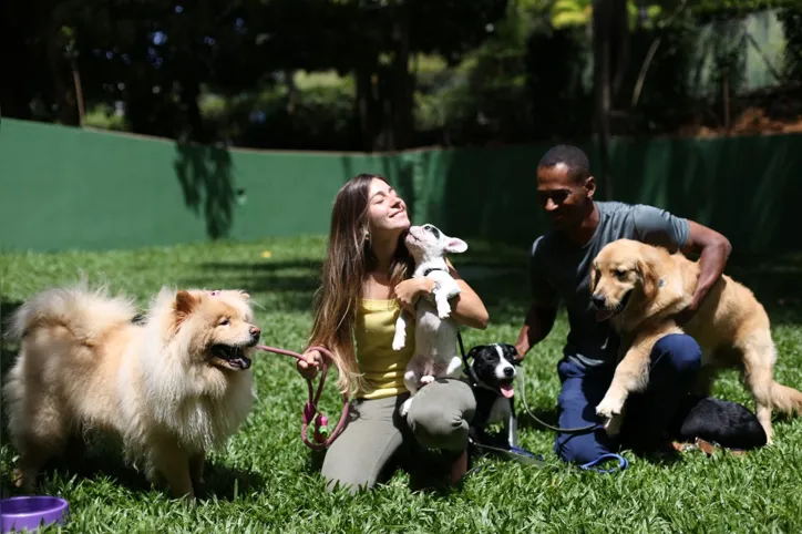 Imagem ilustrativa da imagem Babás de pet ganham espaço em Salvador como uma alternativa aos hotéis para animais
