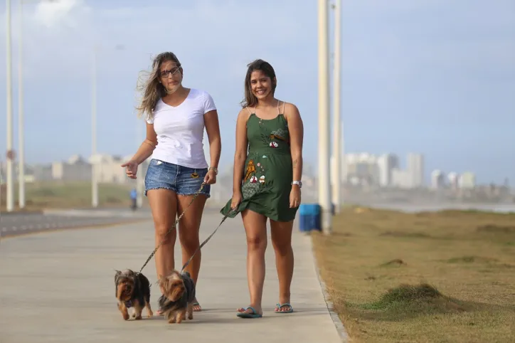 Imagem ilustrativa da imagem Babás de pet ganham espaço em Salvador como uma alternativa aos hotéis para animais