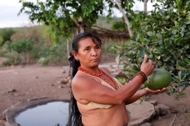 Vida Kiriri: no sertão baiano, índios lutam por desenvolvimento e garantia de direitos