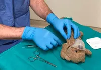 Médico 'opera' ursinho para agradar paciente de 8 anos e imagem viraliza