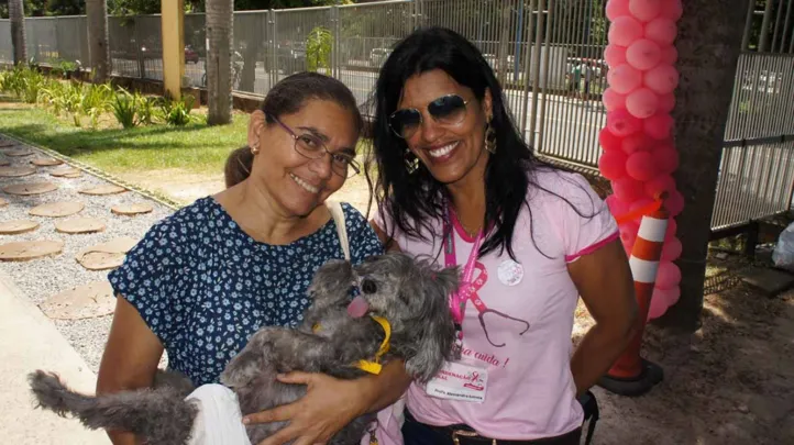 Imagem ilustrativa da imagem Câncer de mama em animais? Entenda os riscos para cadelas e gatas