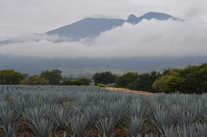 Conhecendo um pouco mais de Jalisco, a região que faz o México ser o México