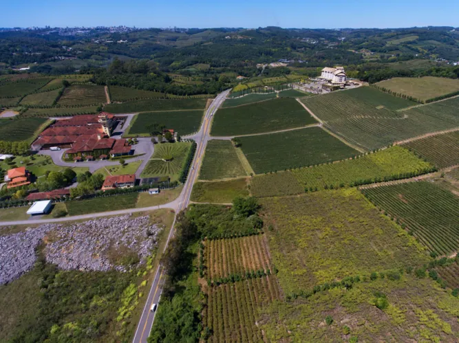 Serra Gaúcha – Enoturismo de qualidade