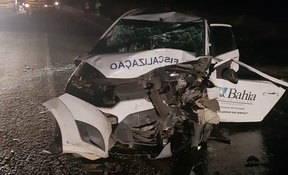 O motorista tentou desviar de um animal na pista e acabou se chocando com o outro na contramão.