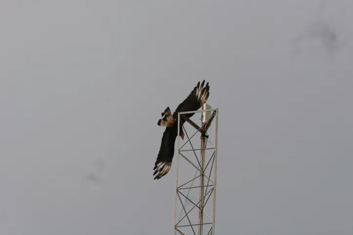 Candeias sem Plano de Mobilidade Urbana