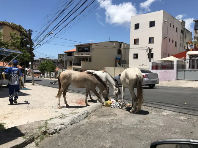 Candeias sem Plano de Mobilidade Urbana
