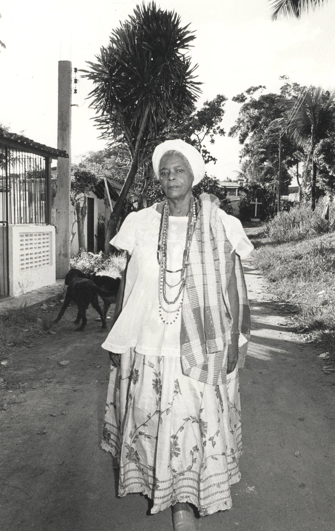 Mãe Stella de Oxóssi: o adeus a uma imortal