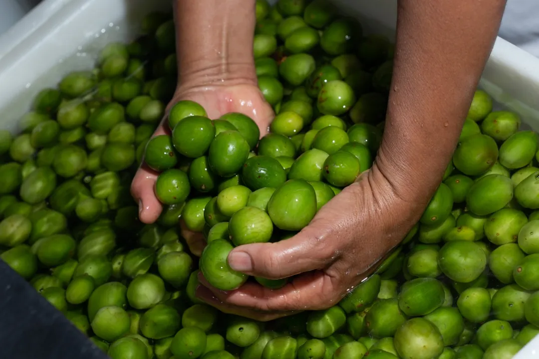 De sabor único, misturando o azedo com o doce, o umbu pode ser consumida não só in natura, mas também como polpa congelada, doces, geleia, cerveja, compota, picolé e outras inúmeras receitas