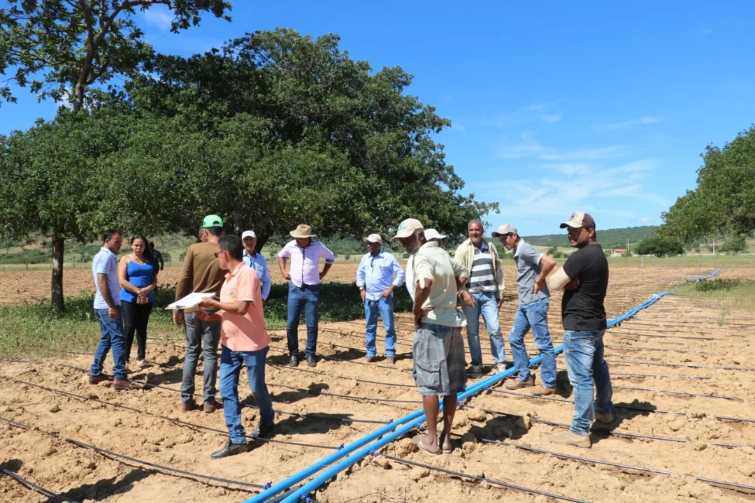 Foram doados mais 49 kits de irrigação por gotejamentos e suporte técnico para garantir o desenvolvimento da produção de algodão na região