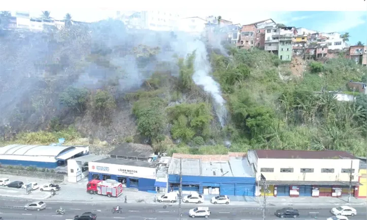 Imagem ilustrativa da imagem Incêndio em vegetação atinge animais na Avenida Jequitaia