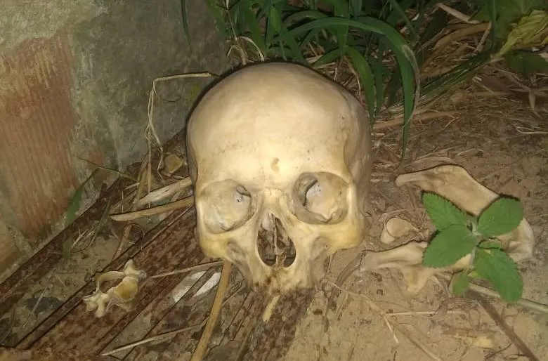 Bombeiros encontraram crânio após denúncia anônima