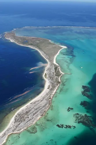 A presença de metais como zinco e cobre na estruturais de corais do parque comprova a ameaça a um área marinha
